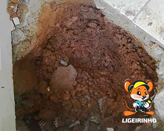 Manutenção profissional de vazamento com detector Geofone
