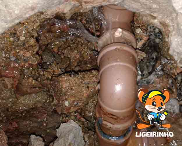 Serviço técnico de manutenção de vazamento Ligeirinho