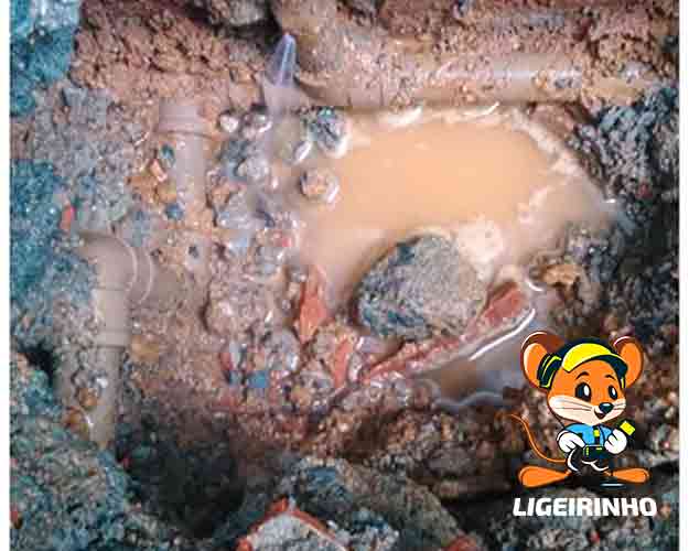 Caça vazamento profissional com detector Geofone