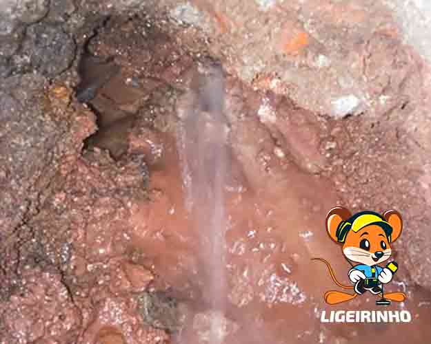 Caça vazamento de água profissional 24 horas
