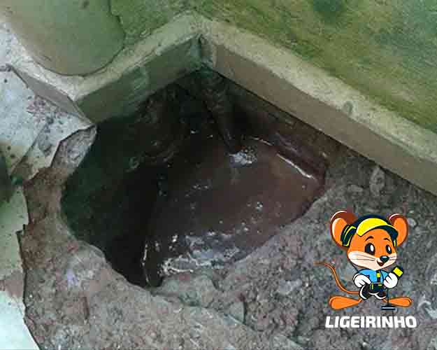 Técnico de vazamento barato osasco