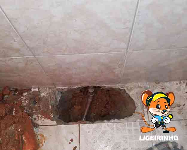 Encanador de vazamentos de água barato Ligeirinho