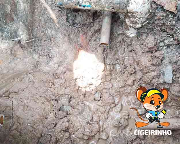 Reparo de vazamento especializado em São Paulo