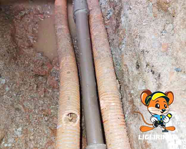 Empresa de Caça Vazamentos Técnico em Caixa D'água, Válvula Hydra e Cavalete