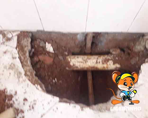 Infiltração e Vazamentos de Água na Sp Centro Conta Elevada