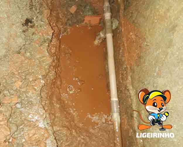Serviço de encanador hidráulico especializado com laudo e garantia