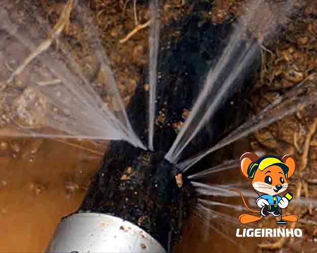 Manutenção de vazamento de água Ligeirinho