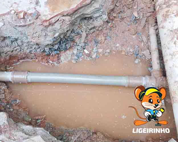 Empresa que conserta vazamento no banheiro caixa d'água Ligeirinho