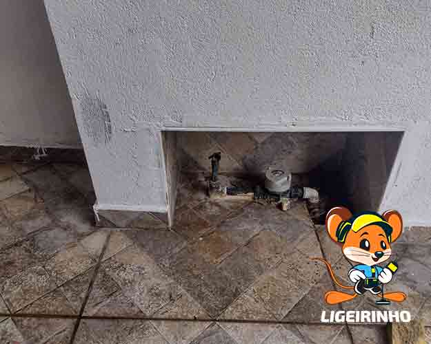 Caça vazamento de água conta alta Sabesp na Zona Sul