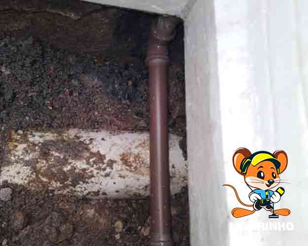 Detecção profissional de vazamento Ligeirinho