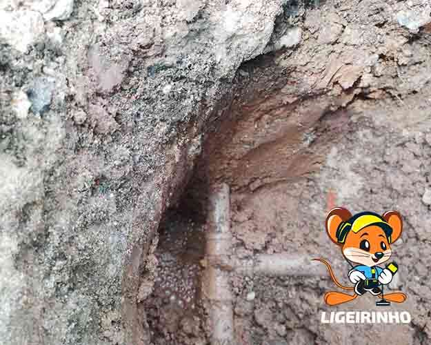 Empresa que localiza vazamentos de água na Zona Sul